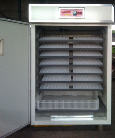 �ǰ����1232ö��С�ͷ�����